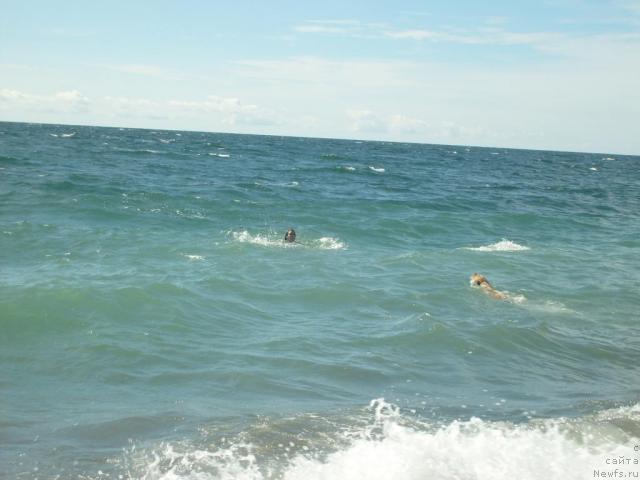 Фотография № 33132