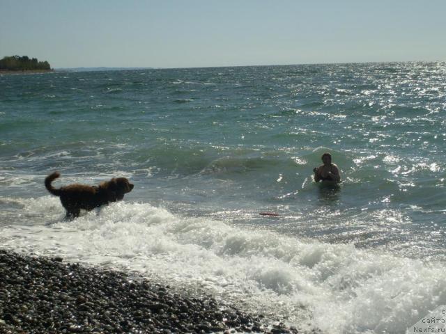 Фотография № 33134