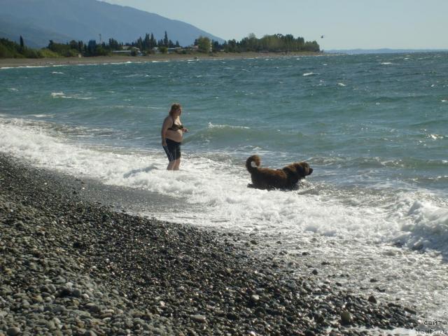 Фотография № 33135