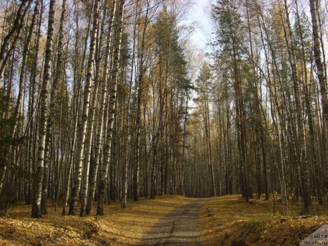 Фотография № 33184