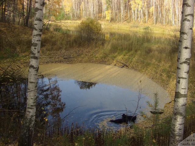 Фотография № 33186