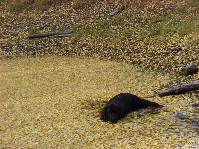 Фотография № 33190