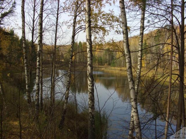 Фотография № 33191