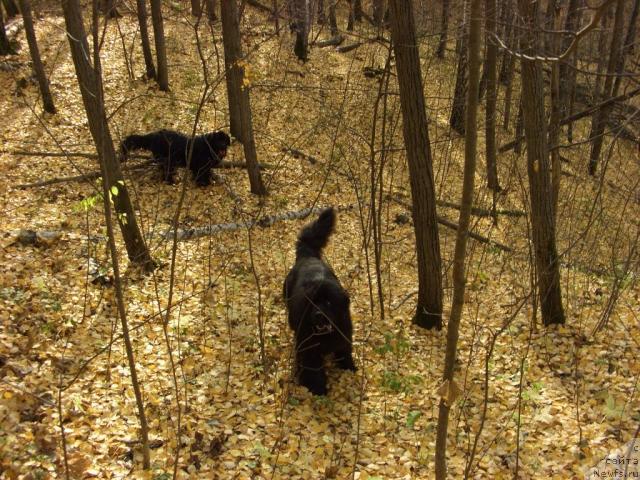 Фотография № 33201