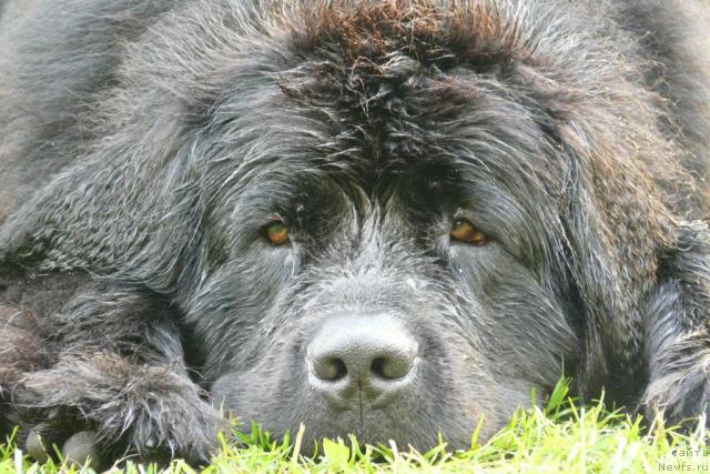 Фотография № 33203