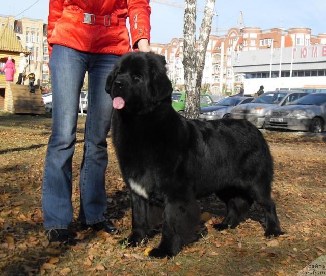 Фотография № 33226