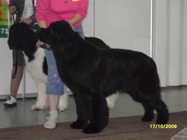 Фотография № 33250