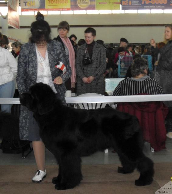 Фотография № 33253