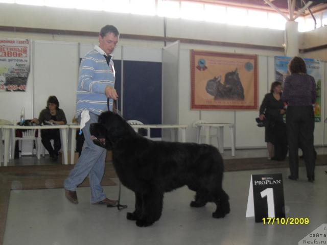 Фотография № 33254