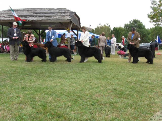 Фото: Thickish Newfoundland Take Your Freedom, Rain Coast Remember Our Friendship, Mississippi Missouri Curt, ...