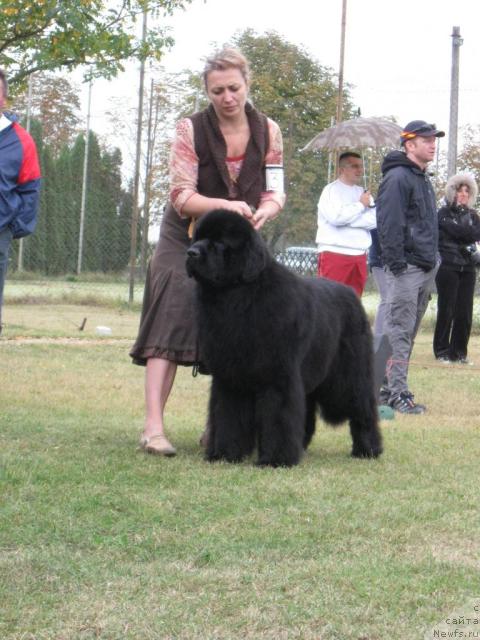 Фото: Rose'Wanted Vol Sans Escale At Cayuga