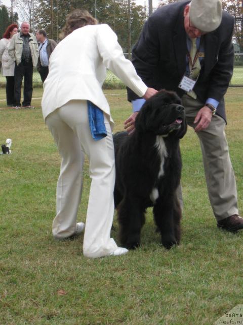 Фото: Mississippi Missouri First Lady