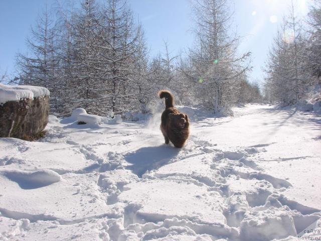 Фотография № 3328