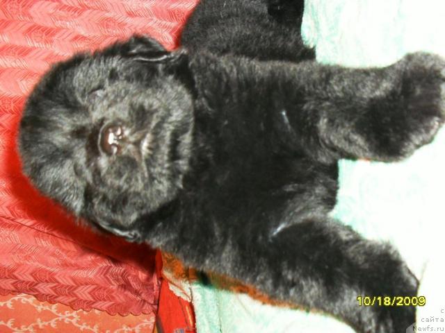 Фото: Людмила Новикова