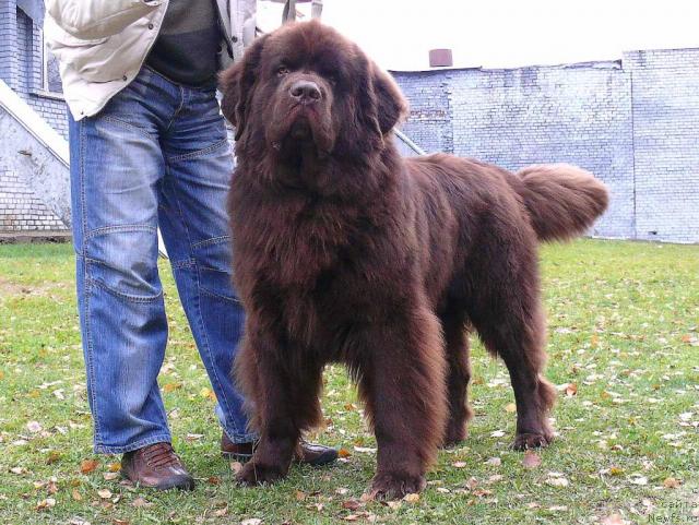 Фотография № 33317