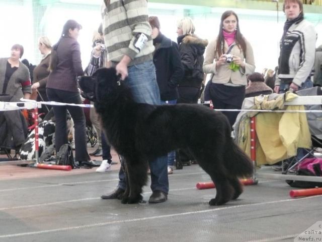 Фото: GASAS SIRDUTE