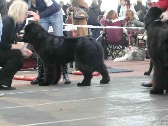 Фото: FAIRWEATHER S RENDITION.