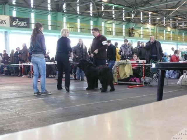 Фото: KORONA ROSSIYSKOY IMPERII IZ ANTAGRADA.