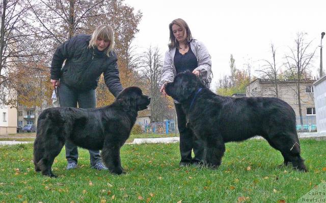 Фотография № 33349