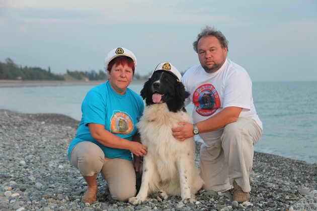 Фото: ньюфаундленд Юмма из Уникальной Коллекции, Соколова Ирина Сергеевна, Олег Соколов