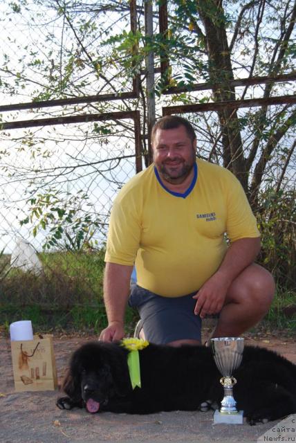 Фото: ньюфаундленд Формула Любви от Сибирского Медведя, Юрий Малев