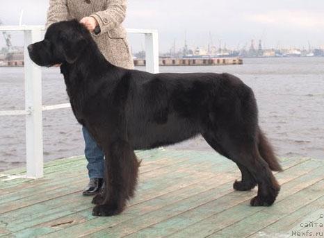 Фотография № 33359