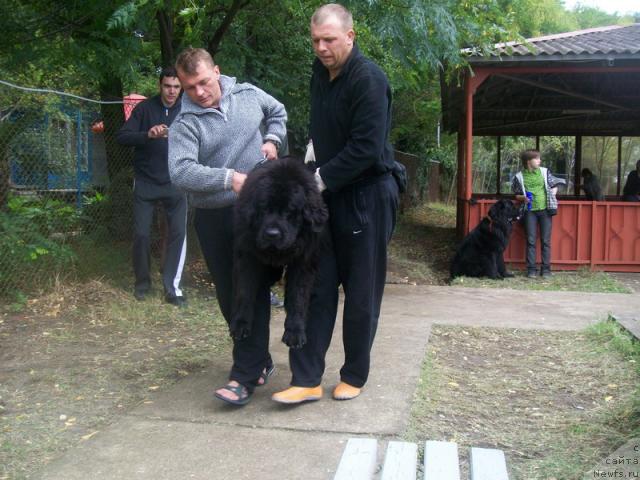 Фотография № 33378