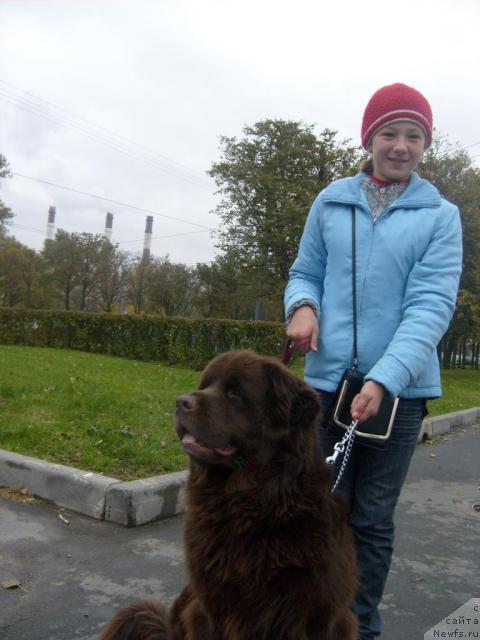 Фото: ньюфаундленд Фанньюф Акудзява Назаровна