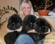 Фото: Лиана Иванискене, Лиана Иванискене