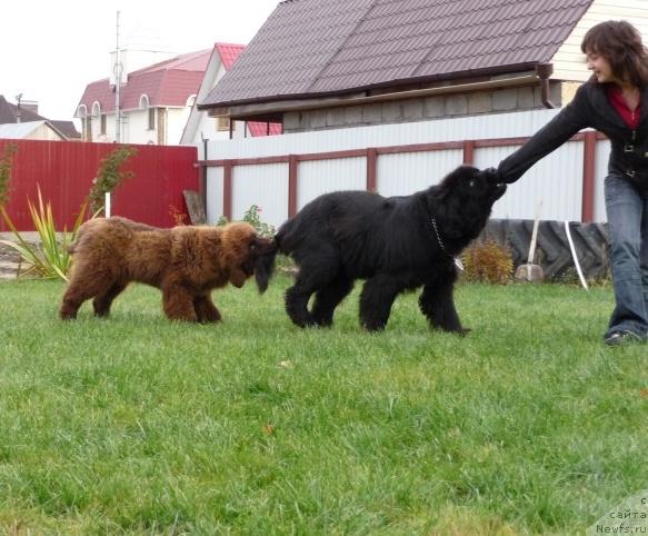 Фото: Динара Тубаева, и компания!!!