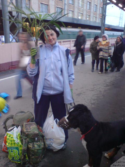 Фотография № 33519