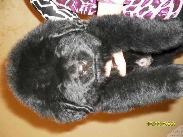 Фото: Людмила Новикова