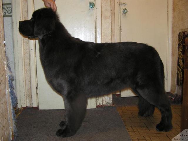 Фотография № 33562