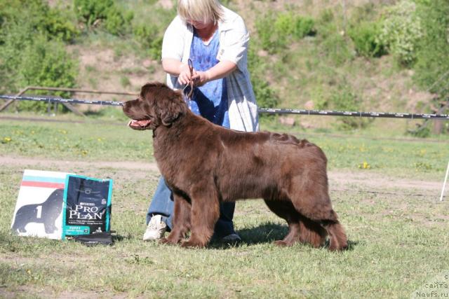 Фотография № 33570