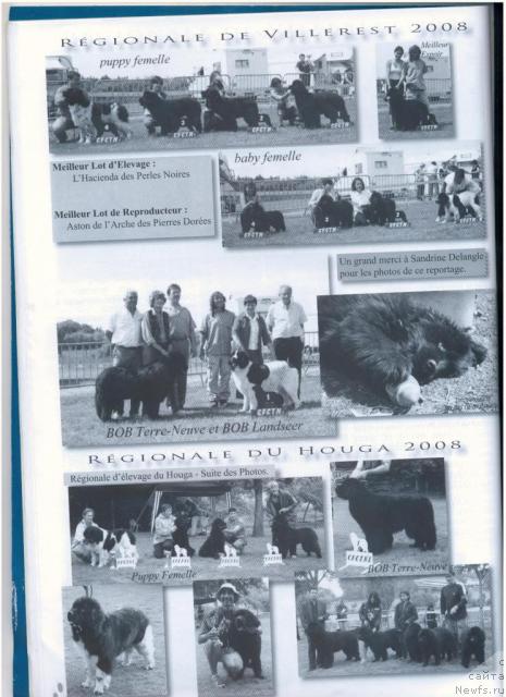 Фотография № 33572