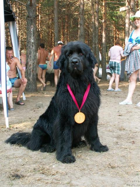 Фотография № 33591