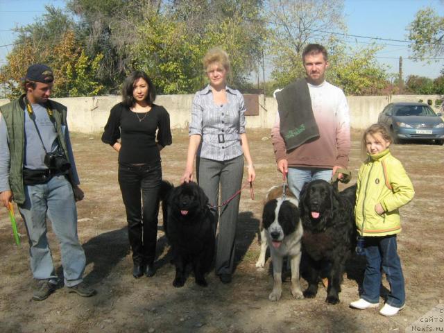 Фотография № 33617