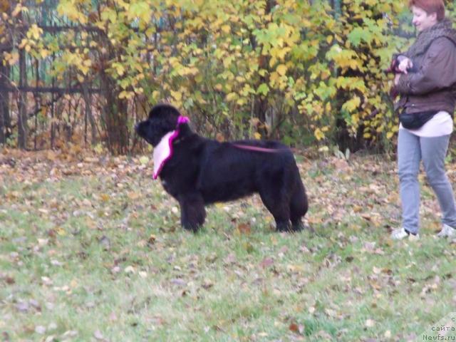 Фотография № 33658