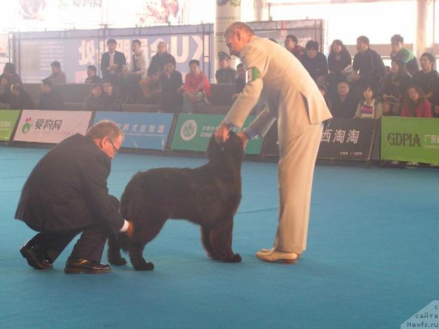 Фотография № 33683