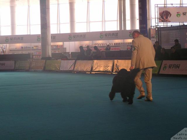 Фотография № 33684