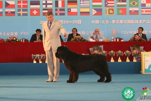 Фотография № 33685