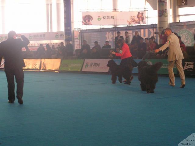 Фотография № 33687