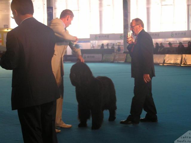 Фотография № 33688