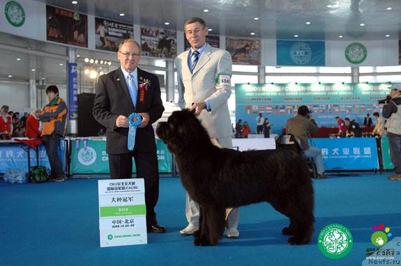 Фотография № 33689