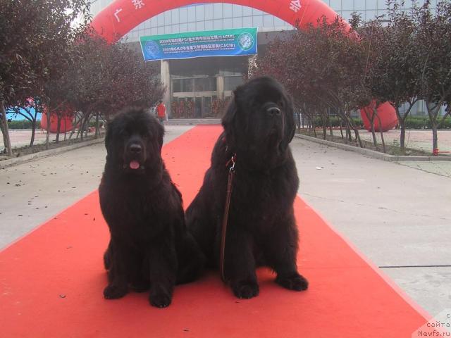 Фотография № 33690