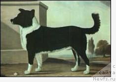 Фотография № 3371