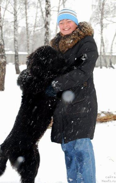 Фото: ньюфаундленд Формула Любви от Сибирского Медведя, Елена Попова