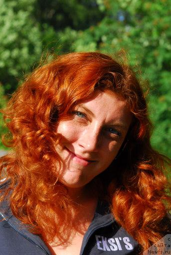 Фотография № 33742