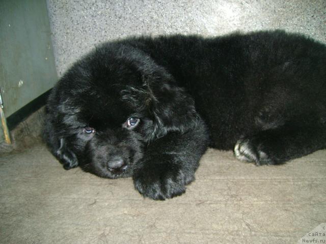 Фотография № 33792