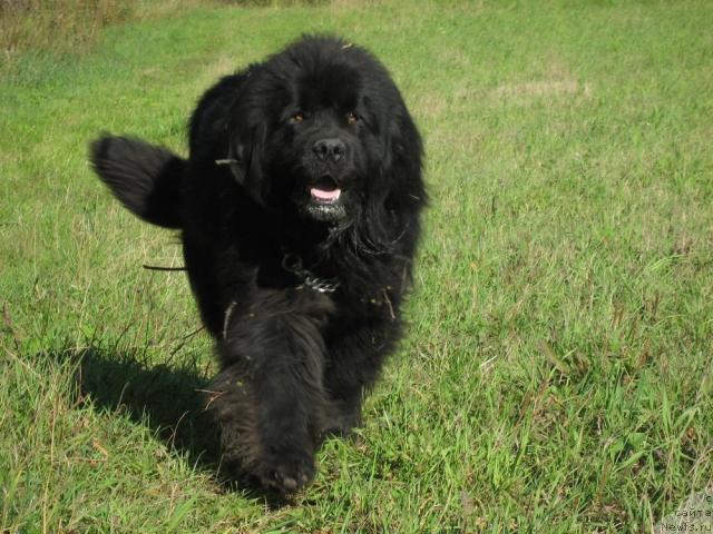 Фотография № 33817